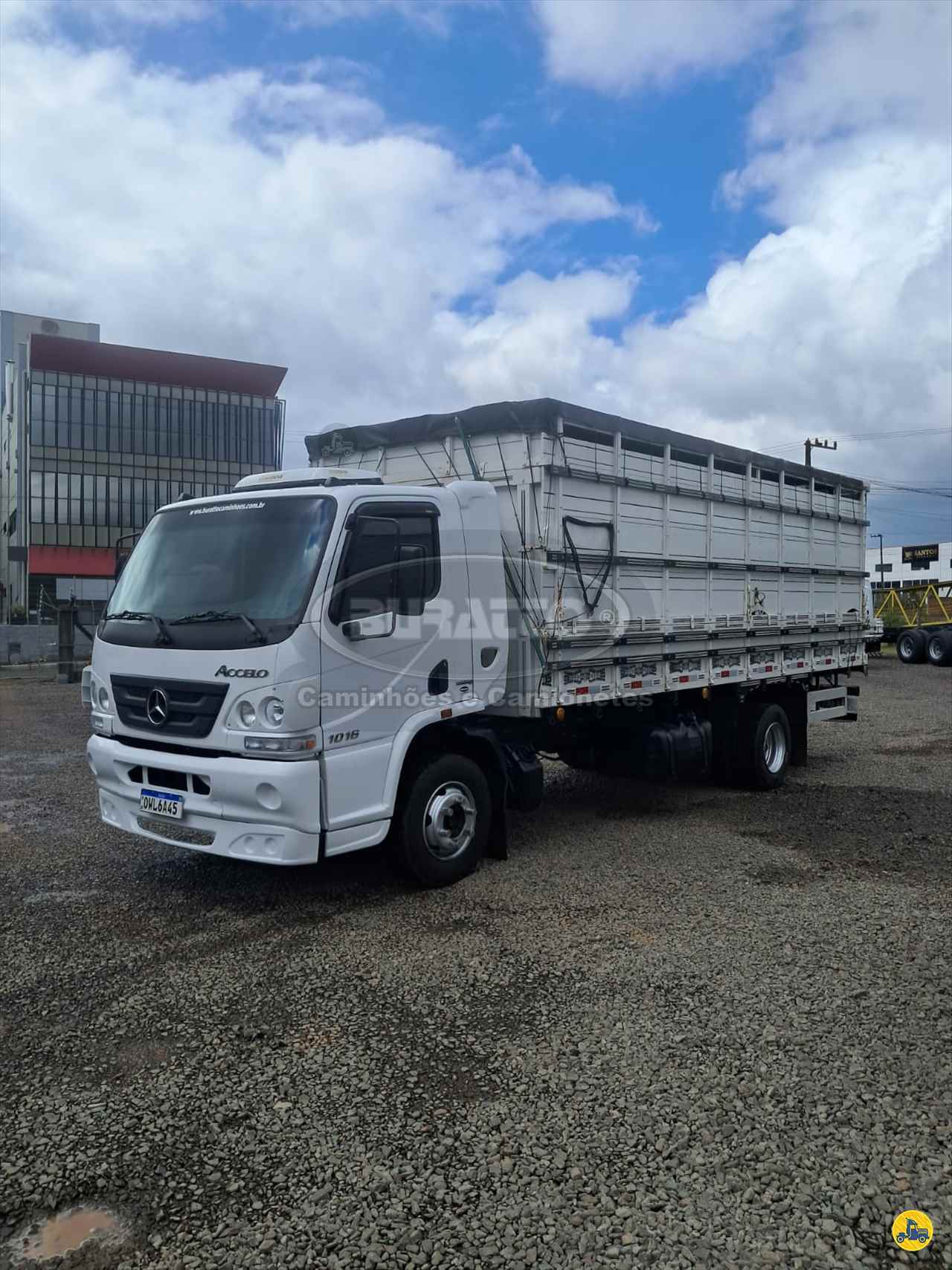 CAMINHAO MERCEDES-BENZ MB 1016 Boiadeiro Toco 4x2 Buratto Caminhões e Camionetas LAGES SANTA CATARINA SC
